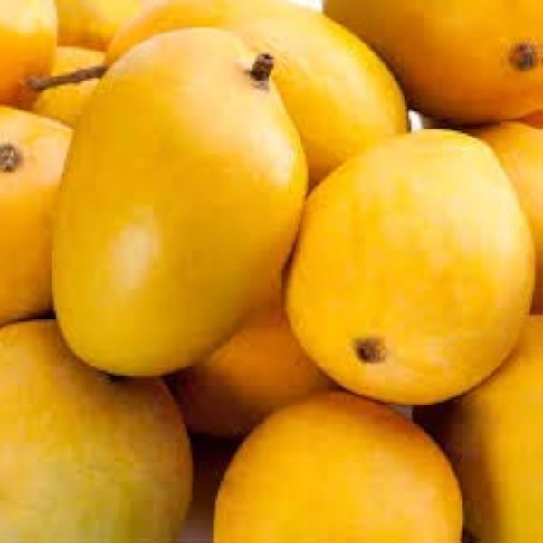 Kesar - Image 7