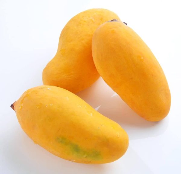 Ratta - Image 5
