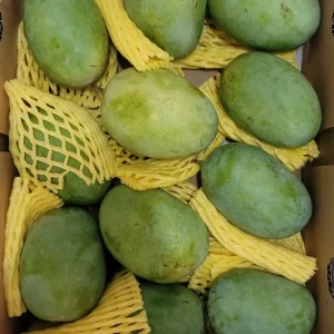 Langra