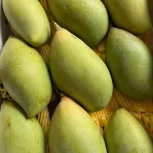 Totapuri